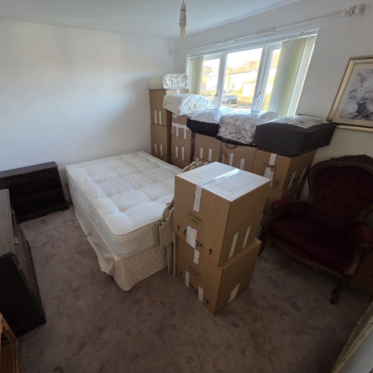 storage packing derby